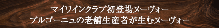 リヨン杯最高金賞4回受賞!ブルゴーニュの老舗生産者が生むヌーヴォー