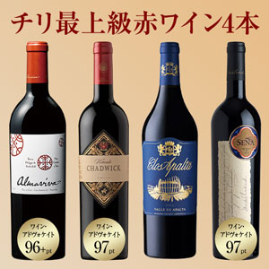 アルマヴィーヴァ入り!チリ最上級赤ワイン4本セット