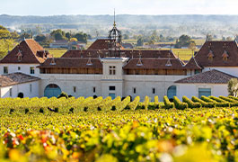 サン・テミリオンのぶどう畑と生産者 ブアール・ド・ラフォレ家