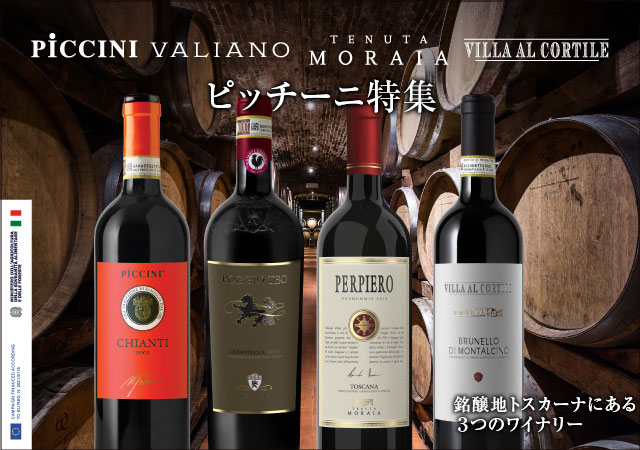 【入手困難】2021 アミーチ リザーブ カベルネソーヴィニオン 入手困難】2021 アミーチ リザーブ カベルネソーヴィニオン