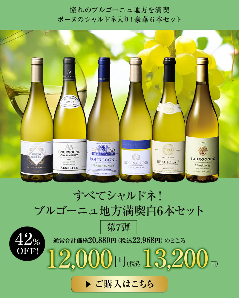 すべてシャルドネ！ブルゴーニュ地方満喫白6本セット第7弾