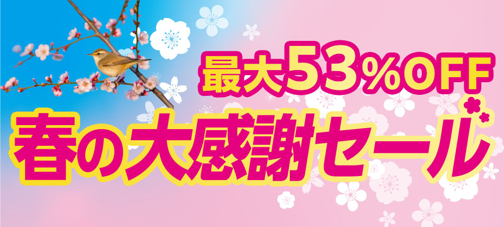 春の大感謝セール