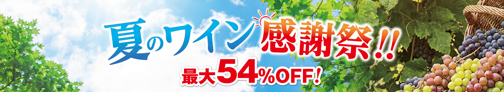 夏のワイン感謝祭
