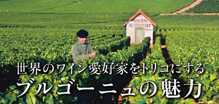 世界のワイン愛好家をトリコにするブルゴーニュの魅力