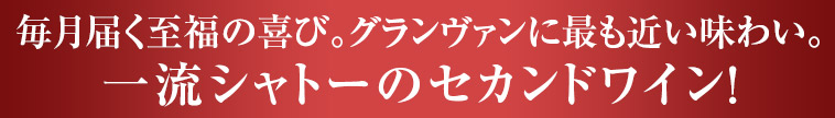 リーズナブルな価格！デイリーにいろいろなワインを楽しみたい方へ！