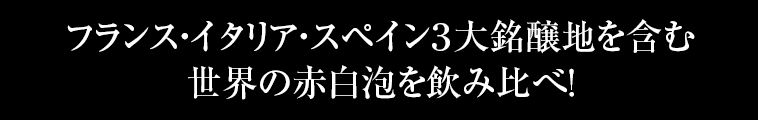 フランス・イタリア・スペイン３大銘醸地を含む世界の赤白泡を飲み比べ！