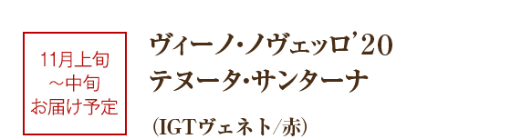 ヴィーノ・ノヴェッロ2020 テヌータ・サンターナ