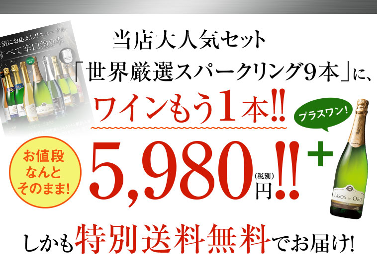 特別送料無料】【ストッパー付】金賞＆高評価＆瓶内二次発酵製法入り！世界スパークリング１０本 ３０弾 | ワイン通販ならマイワインクラブ【公式】