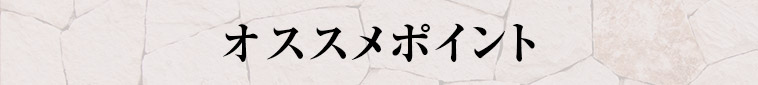 オススメポイント