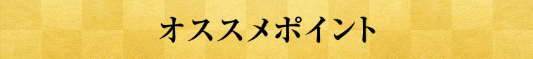 オススメポイント