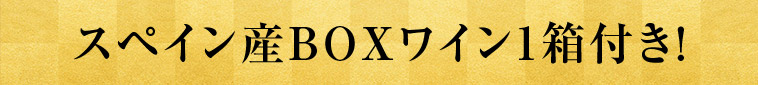 スペイン産BOXワイン1箱付き！