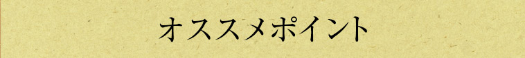 オススメポイント