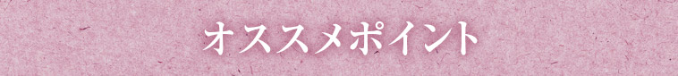 オススメポイント