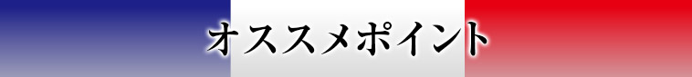 オススメポイント