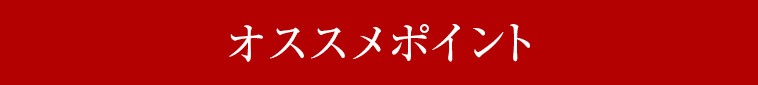オススメポイント