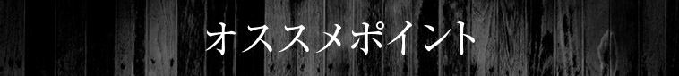 オススメポイント