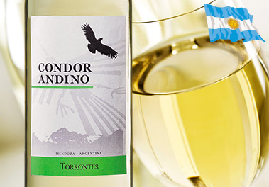 コンドール・アンディーノ・トロンテス