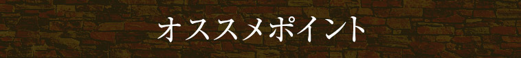 オススメポイント