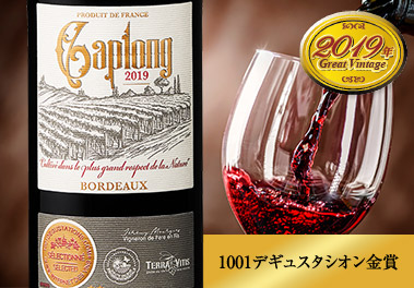 カプロン’１９