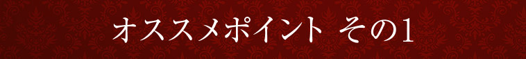 オススメポイント その1
