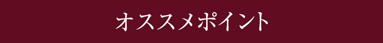 オススメポイント