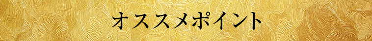 オススメポイント