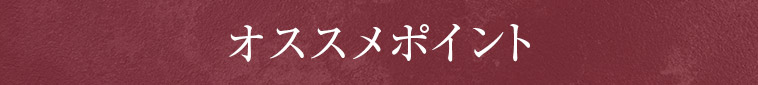 オススメポイント