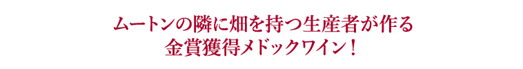 エム・バイ・フォンバデ（ACメドック／赤・フルボディ）