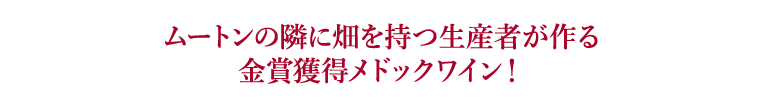 ムートンの隣に畑を持つ生産者が作る金賞獲得メドックワイン！