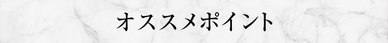 オススメポイント