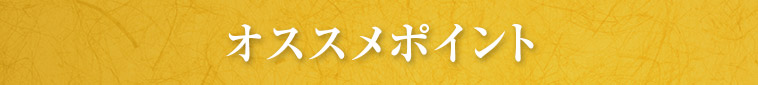 オススメポイント