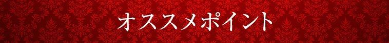 オススメポイント