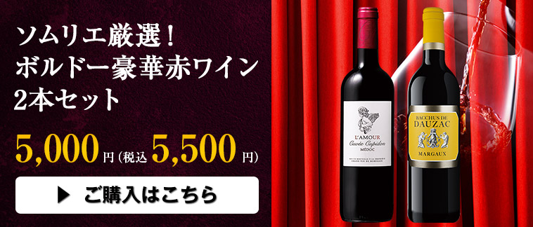 ソムリエ厳選！ボルドー豪華赤ワイン2本セット