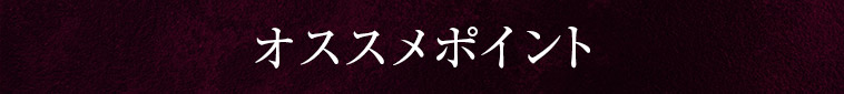 オススメポイント