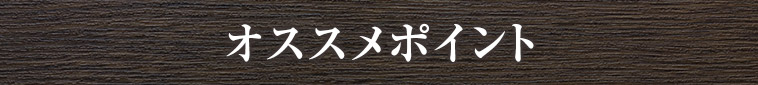 オススメポイント