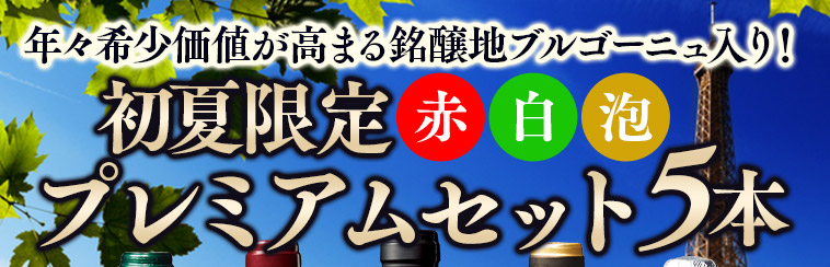 銘醸地ブルゴーニュ入り！欧州赤・白・スパークリング５本プレミアムセット