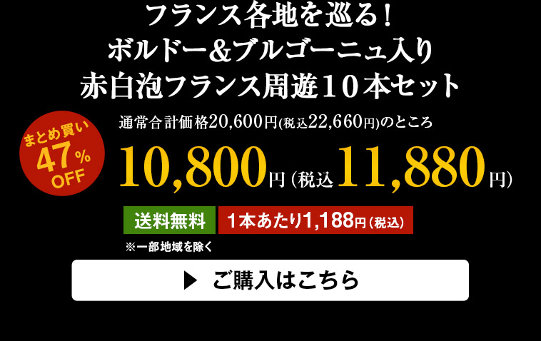 フランス各地を巡る！ボルドー＆ブルゴーニュ入り赤白泡フランス周遊１０本セット