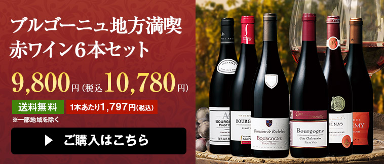 ブルゴーニュ地方満喫赤ワイン６本セット
