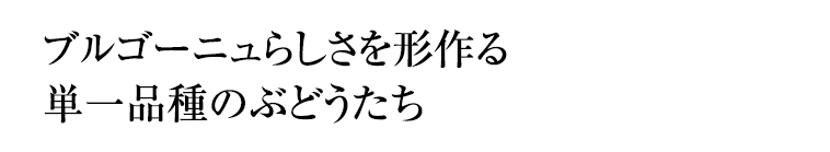 修道院が築いたブルゴーニュワインの礎