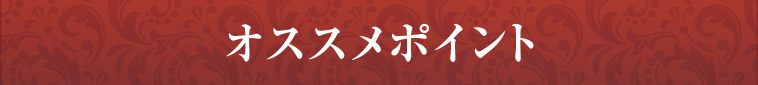 オススメポイント
