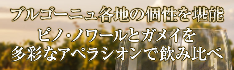 ブルゴーニュ各地の個性を堪能ピノ・ノワールとガメイを多彩なアペラシオンで飲み比べ