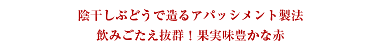 陰干しぶどうで造るアパッシメント製法飲みごたえ抜群！果実味豊かな赤