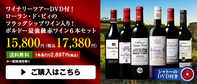 ワイナリーツアーDVD付！ローラン・ド・ビィのフラッグシップワイン入り！ボルドー最強級赤ワイン６本セット