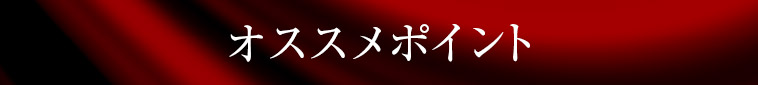 オススメポイント