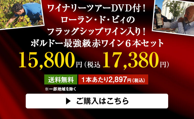 ワイナリーツアーDVD付！ローラン・ド・ビィのフラッグシップワイン入り！ボルドー最強級赤ワイン６本セット