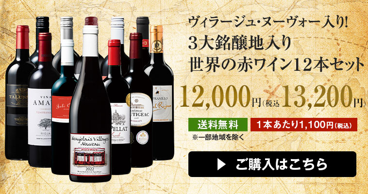 ヴィラージュ・ヌーヴォー入り！３大銘醸地入り世界の赤ワイン１２本セット