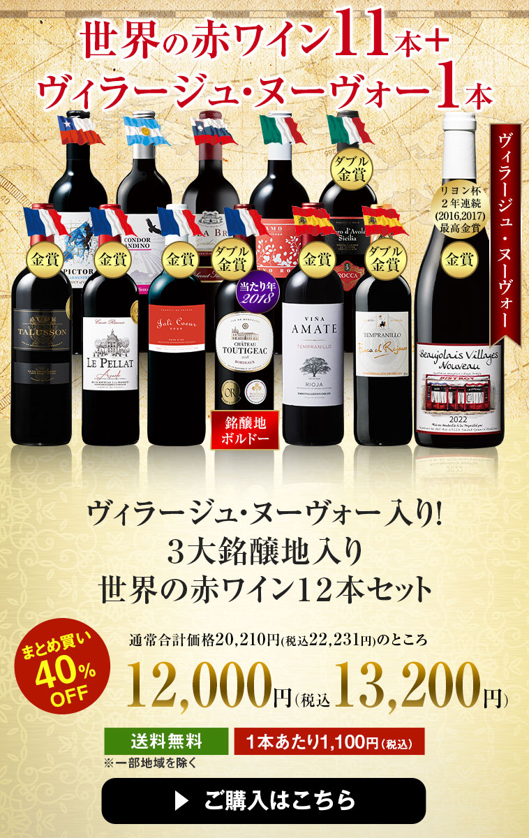 ヴィラージュ・ヌーヴォー入り！３大銘醸地入り世界の赤ワイン１２本セット