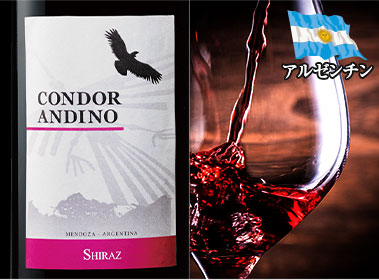 コンドール・アンディーノ・シラーズ