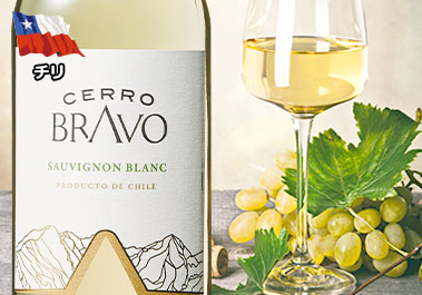 セロ・ブラヴォ・ソーヴィニヨン・ブラン