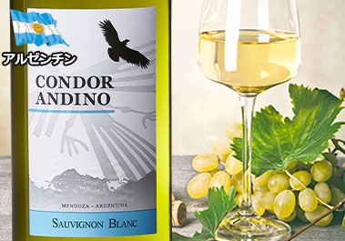 コンドール・アンディーノ・ソーヴィニヨン・ブラン